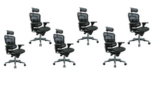 Load image into Gallery viewer, Ergohuman High Back Swivel Chair with Headrest, Black Mesh &amp; Chrome Base