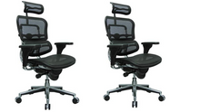 Load image into Gallery viewer, Ergohuman High Back Swivel Chair with Headrest, Black Mesh &amp; Chrome Base