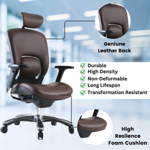 Load image into Gallery viewer, GM Seating Ergolux Genuine Leather Executive Hi Swivel Chair Chrome Base with Headrest Lumbar Support, Modern Ergonomic Chair for Home Office - Comfortable Desk Chair, Adjustable Armrest Brown