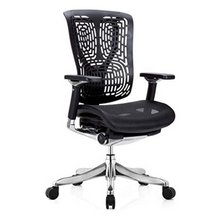 Load image into Gallery viewer, GM Seating Ergobilt High-Back Ergonomic Office Chair - Large Mesh Chair with Lumbar Support &amp; Adjustable Armrest - Swivel Computer Desk Chair with Height adjustable backrest - Aluminum base – Black