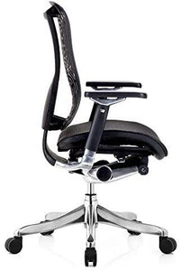 GM Seating Ergobilt High-Back Ergonomic Executive Task Mesh Swivel Office Desk Chair - ERGOLUXSEATING.COM