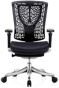 GM Seating Ergobilt High-Back Ergonomic Executive Task Mesh Swivel Office Desk Chair - ERGOLUXSEATING.COM