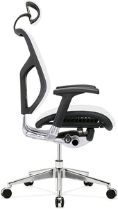 GM Seating Dreem Executive Office Chair - ERGOLUXSEATING.COM